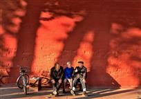 红墙上的三颗树影