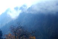 云雾缭绕海螺沟