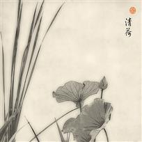 清荷