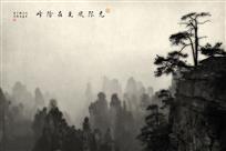 无限风光在险峰
