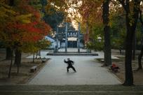 武术