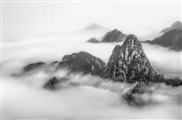 山岚静无言
