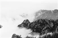 大鳄出山