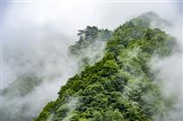 梦境