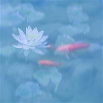 荷韵