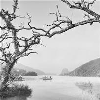 一叶轻舟破屋来