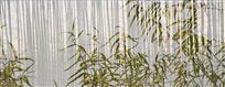 似竹非竹似树非树