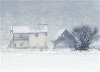 雪风吹