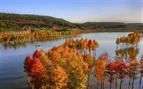 天泉湖秋韵
