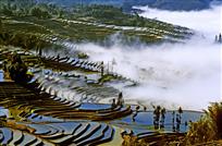 《梯田烟云》