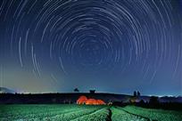 《茶园星空》