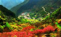 山区新貌