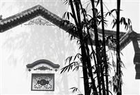翠竹小居