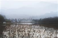 山水冬色