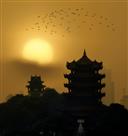 晨曦