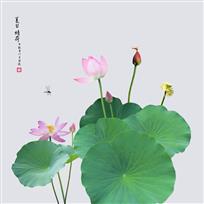 《夏日蜻荷》