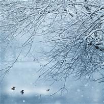 沐雪
