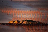 日出海湾红胜火