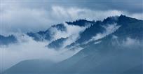 水墨天成