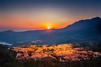 日出