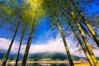 只缘身在此山中