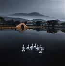 家园