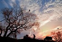 夕阳西下