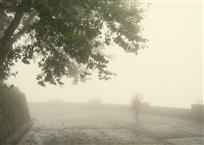 莫干山上的小红伞