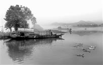 春江水暖鸭先知