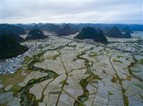 田园风光