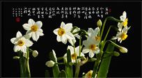 水仙