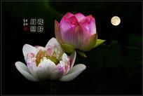 花好月圆