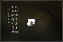 袁枚诗意