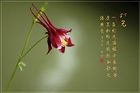 “灯光”