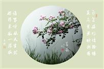 前人诗意——蔷薇