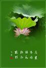 呵护