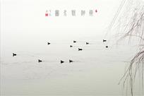衡湖戏水图