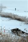 雪后衡湖