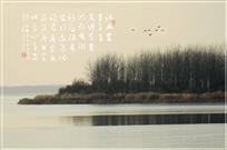 冬日衡水湖
