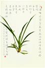 简约之美