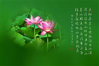 梦荷
