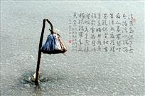 冬日残荷