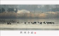 衡水湖冬韵（组照8幅）