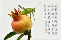 盛夏（组照4幅）