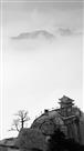 《 空山 》