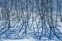 白雪却嫌春色晚