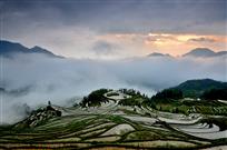 云和梯田