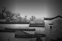 徽居