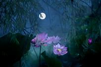 《荷塘月夜》