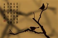 不及林间自在啼